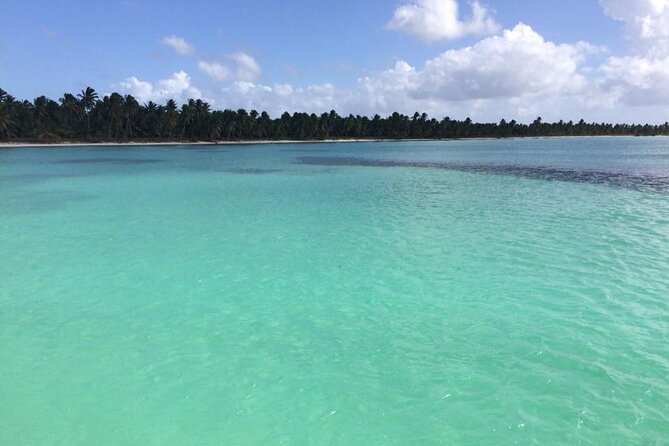 Saona island - Private Tour with a Luxury Speed Boat - Is $1,490 Good Value for Six People?