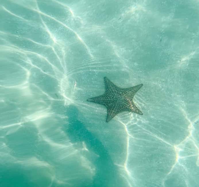 Saona Island Tour All Inclusive Speedboat and Catamaran - What to bring, and what to leave behind