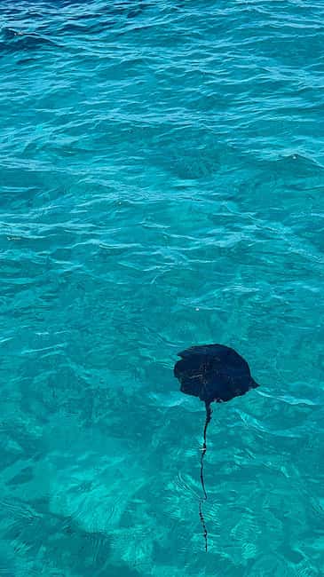 Sarandë Sea Safari: Speedboat to Hidden Coves & Wild Beaches - Kepi i Qefalit: cliffs, caves, and a 20-minute swim