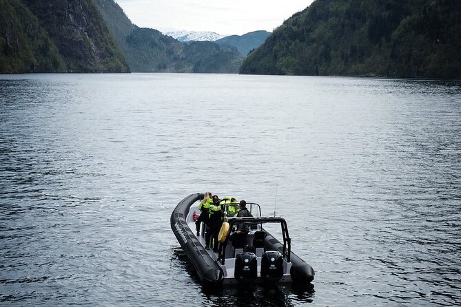 Scenic RIB adventure to Hardangerfjord & Fyksesund from Øystese - The guide can shape the whole experience