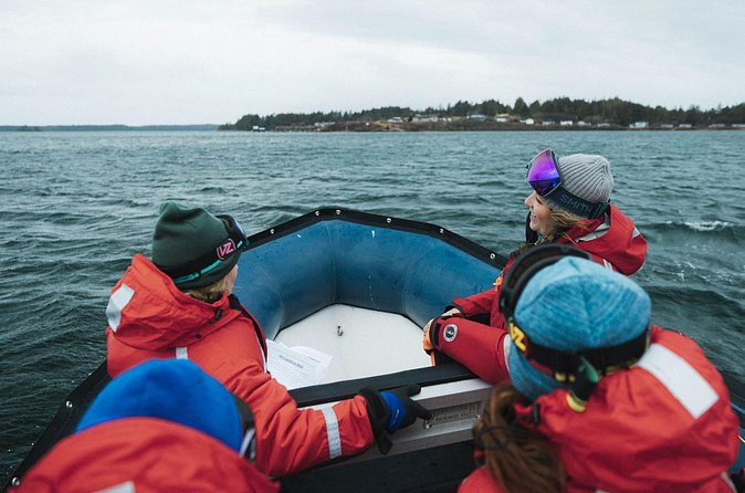 Sea Prince Rupert City and Harbour Shared Zodiac Tour - The port that keeps Prince Rupert moving