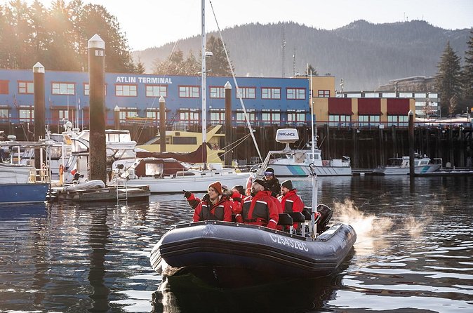 Sea Prince Rupert City and Harbour Shared Zodiac Tour - Wildlife along the Great Bear Rainforest coast