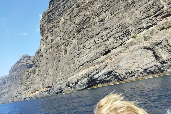 SEA SAFARI Dolphins, Whales, 3h speedboat DISCOVERY-TOUR - Who should book this Tenerife boat trip?