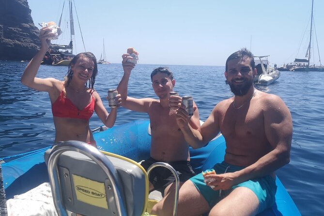 SEA SAFARI Dolphins, Whales, 3h speedboat DISCOVERY-TOUR - Is the Sea Safari worth booking?