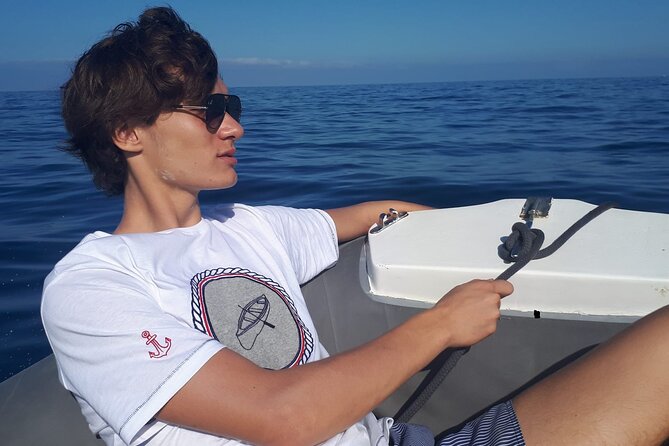 SEA SAFARI Dolphins, Whales, 3h speedboat DISCOVERY-TOUR - Along the cliffs of south Tenerife