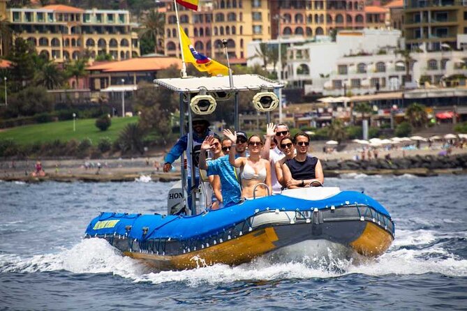 SEA SAFARI, Dolphins, Whales, snorkeling, snack and drink, 2 h speedboat - Watching whales and dolphins off Tenerife