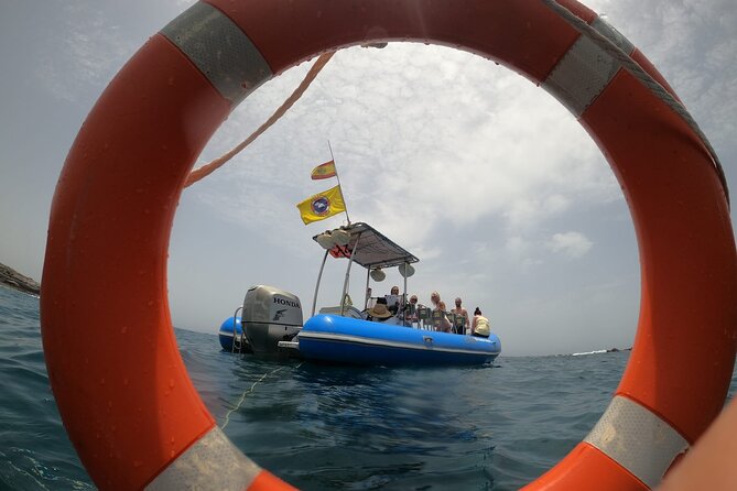 SEA SAFARI, Dolphins, Whales, snorkeling, snack and drink, 2 h speedboat - The guide can shape the whole outing
