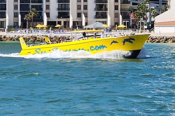 Sea Screamer Clearwater's Only Speed Boat Dolphin Watching - Key Things to Know Before You Go