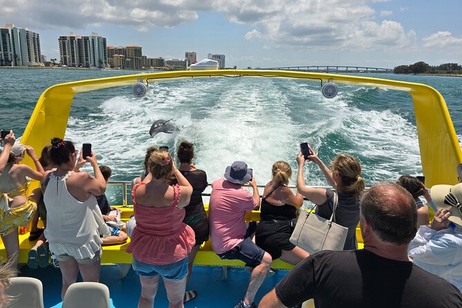 Sea Screamer Clearwater's Only Speed Boat Dolphin Watching - How the Price Compares