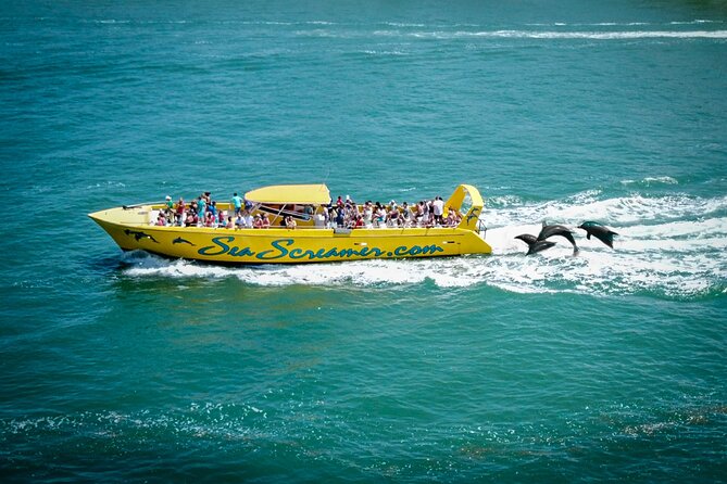 Sea Screamer Clearwater's Only Speed Boat Dolphin Watching - The Best Part: Dolphins in the Wake