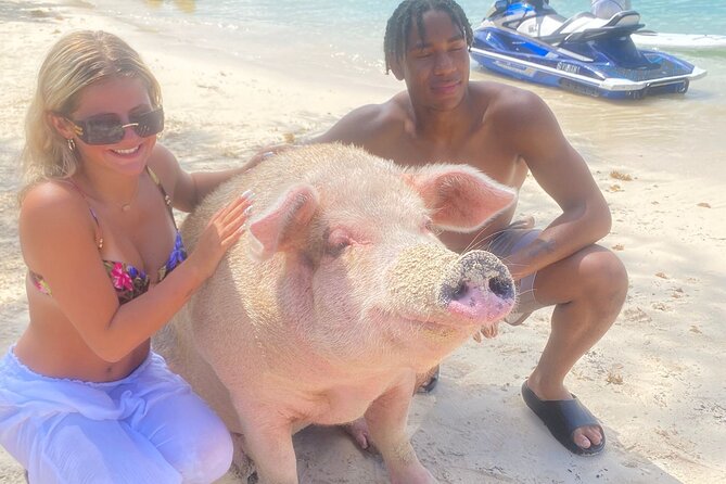 Self Drive Speedboat and Swim with the Pigs - Practical planning before you book