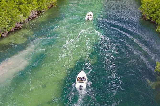 Shared Jungle Speed Boat Tour in Cancun - Snorkeling Beyond the Lagoon