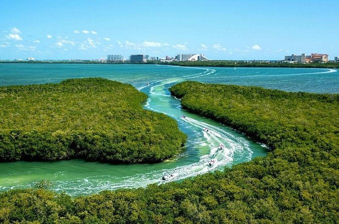 Shared Jungle Speed Boat Tour in Cancun - Is $92.83 a Fair Price?