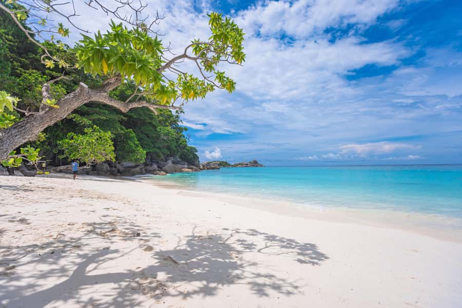 SIMILAN ISLAND BY SPEED BOAT FROM PHUKET - Why the Similan Islands Make a Strong Day Trip