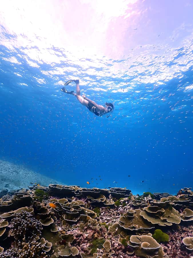 SIMILAN ISLAND BY SPEED BOAT FROM PHUKET - The 5:30 AM Pickup and Morning Transfer