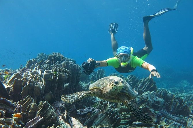 Similan Islands Day Trip by Speedboat From Phuket - Miang Island, lunch, and a welcome pause