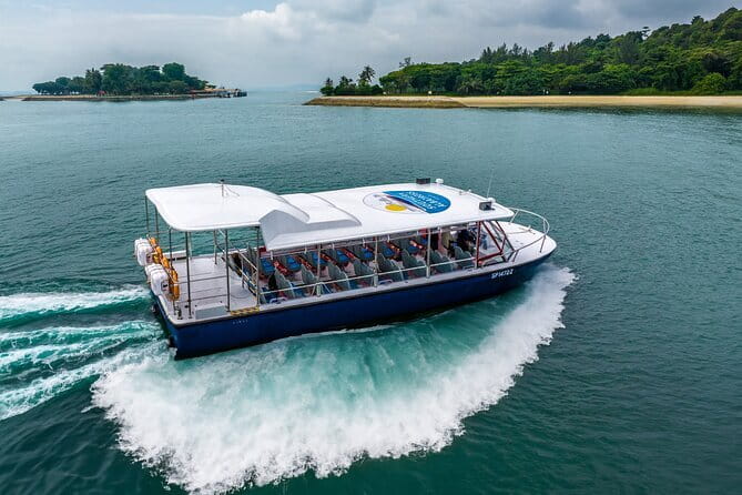 Singapore - Albatross Speedboat Adventures Cruising in Sentosa - Key points to know before you go