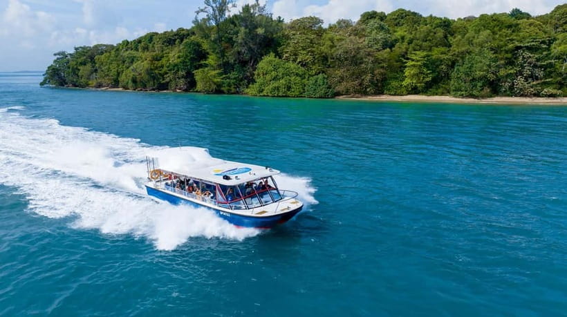 Singapore: Albatross Speedboat Adventures Ticket - Who should book this $31 experience?
