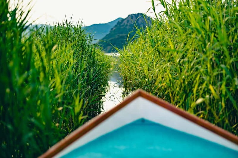 Skadar Lake Virpazar : Speed Boat Special ! - Key points to know before you go