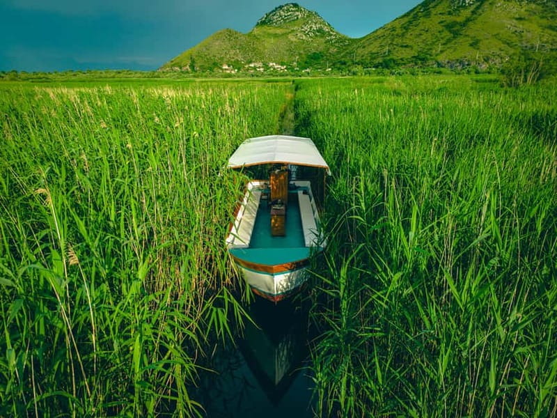 Skadar Lake Virpazar : Speed Boat Special ! - A short stop for swimming and photographs
