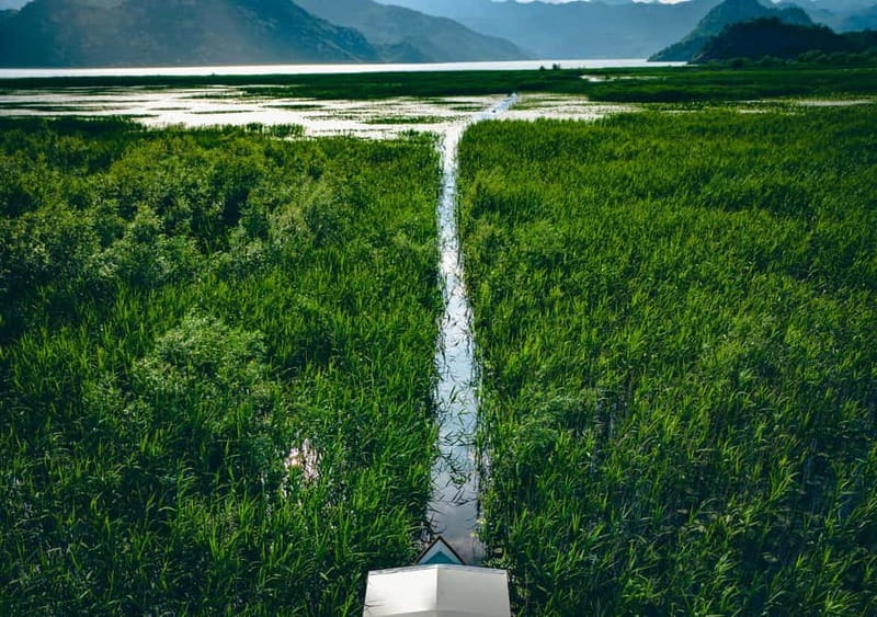 Skadar Lake Virpazar : Speed Boat Special ! - Returning by boat with a drink in hand