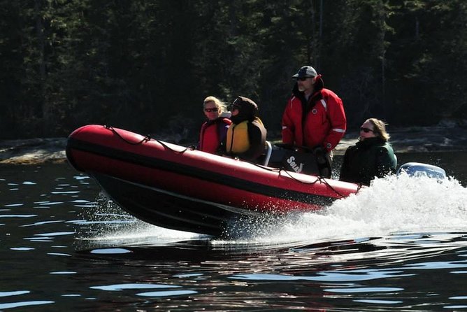 Small-Group Zodiac Wilderness Adventure from Ketchikan - Key points to know before booking