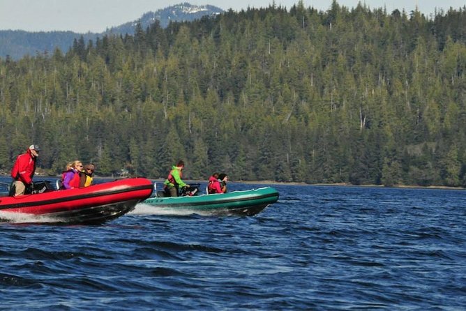 Small-Group Zodiac Wilderness Adventure from Ketchikan - Is $179 A Fair Price?