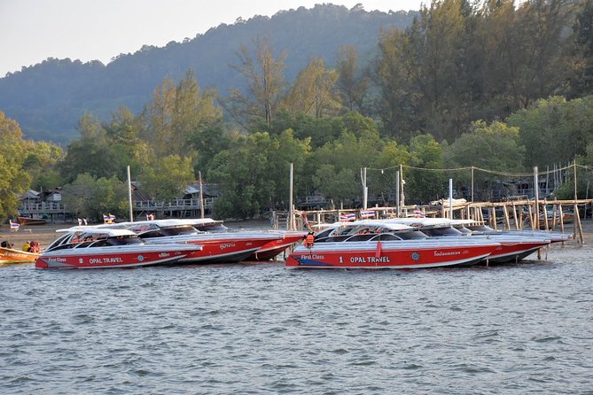 Snorkel Tour to Phi Phi Islands by Speed Boat from Koh Lanta - Passing Viking Cave and seeing swiftlet nests