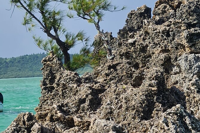 Snorkel with Dolphins, Lunch on Benitiers island, Speedboat - Crystal Rock adds a second water stop
