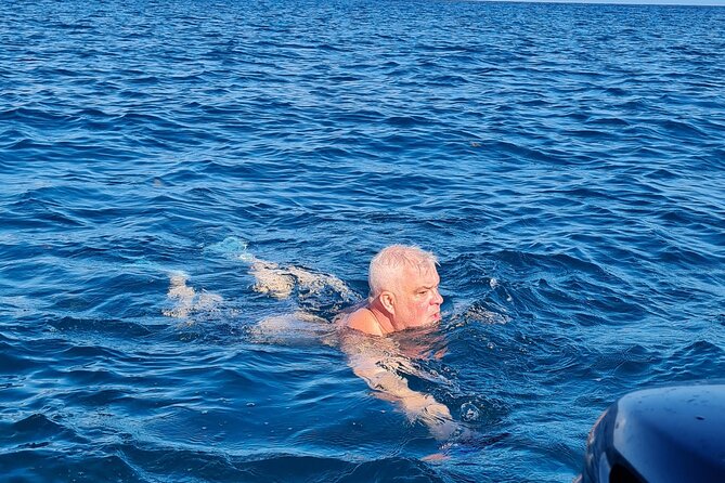 Snorkel with Dolphins, Lunch on Benitiers island, Speedboat - Who will enjoy this trip most