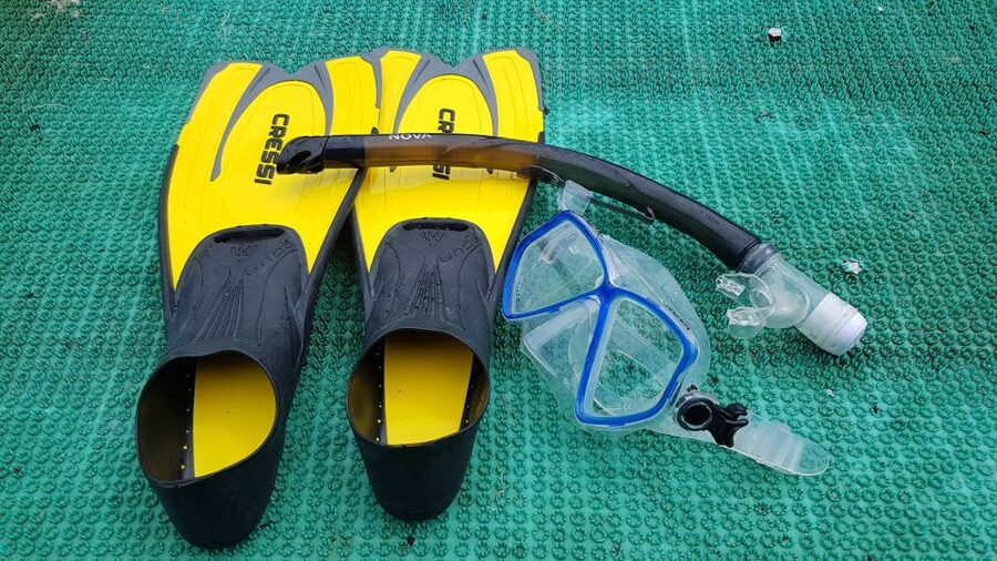 Snorkeling Cham Island: Snorkeling Tour by Speed Boat - A Vietnamese seafood lunch at Cham Jungle Restaurant