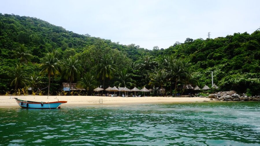 Snorkeling Cham Island: Snorkeling Tour by Speed Boat - Who should book this Cham Island day?