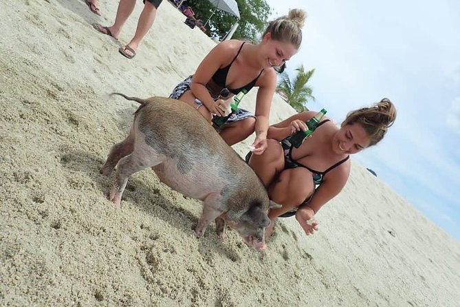 Snorkeling & Kayaking Trip at Koh Madsum and Koh Tan By Speedboat From Koh Samui - Who will enjoy this Koh Samui excursion?