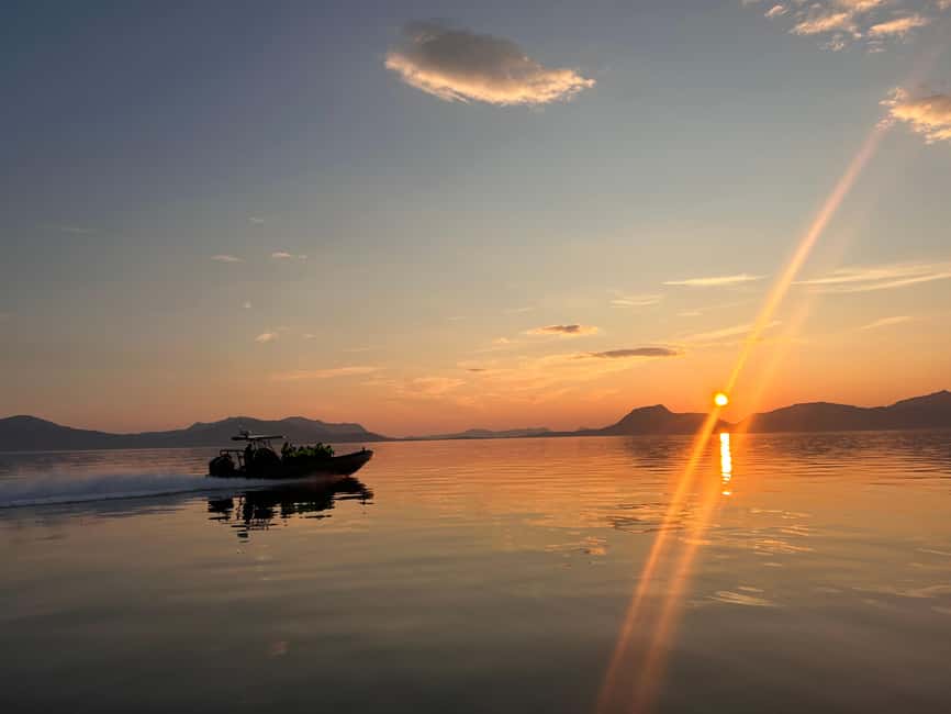 Sortland: Trollfjord RIB Boat Tour - Key points before you book