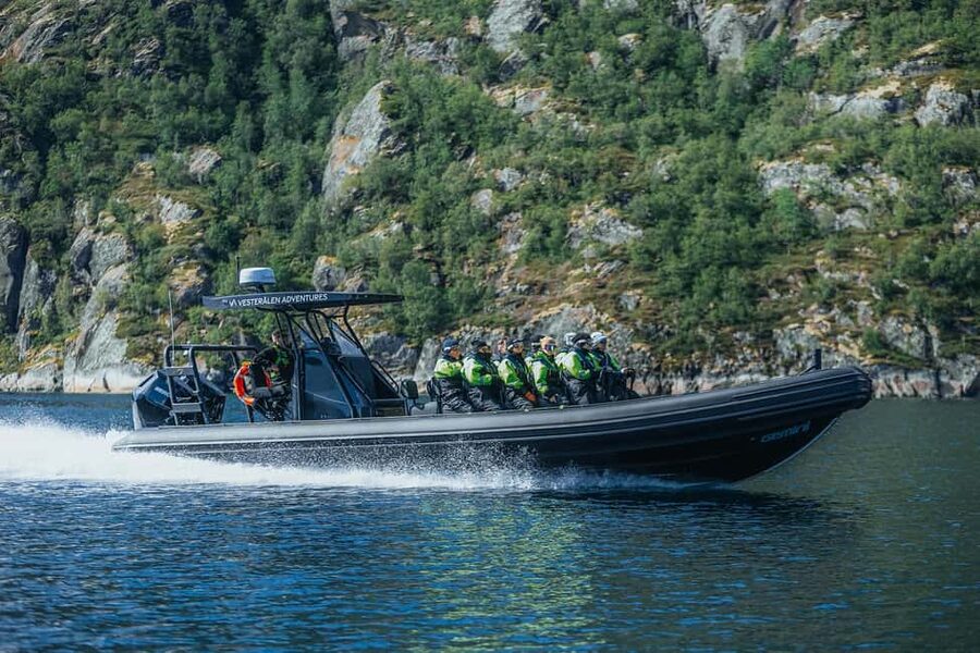 Sortland: Trollfjord RIB Boat Tour - Is $227 a fair price?