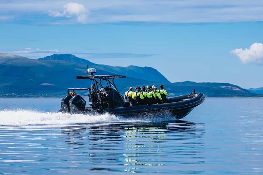 Sortland: Trollfjord RIB Boat Tour - Who will enjoy this Sortland excursion?