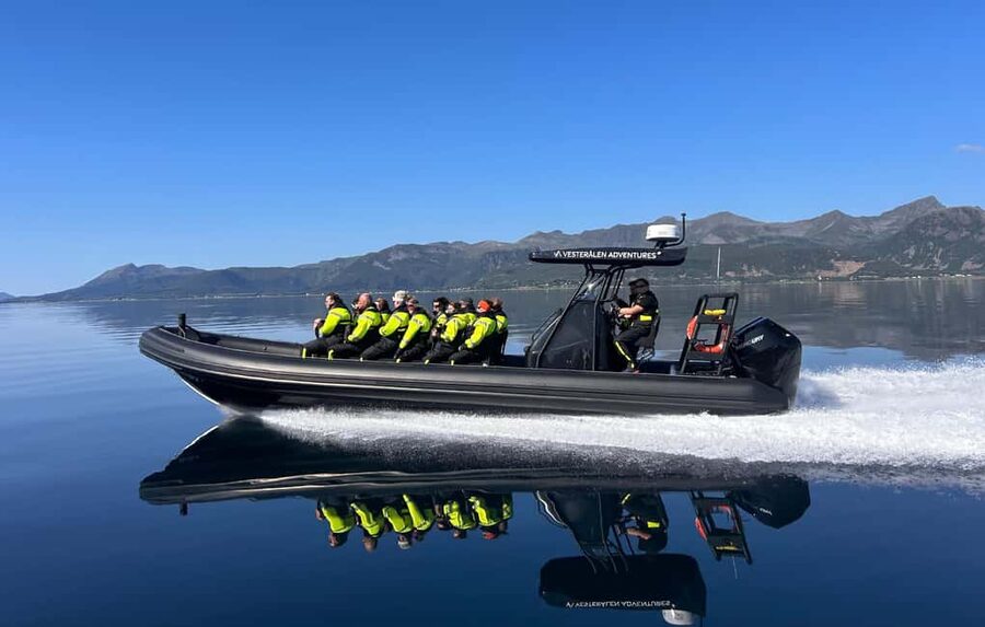 Sortland: Trollfjord RIB Boat Tour - Should you book the Trollfjord RIB tour?