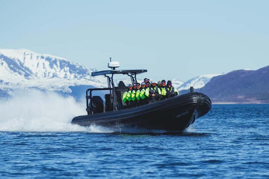 Sortland: Trollfjord RIB Boat Tour - FAQ