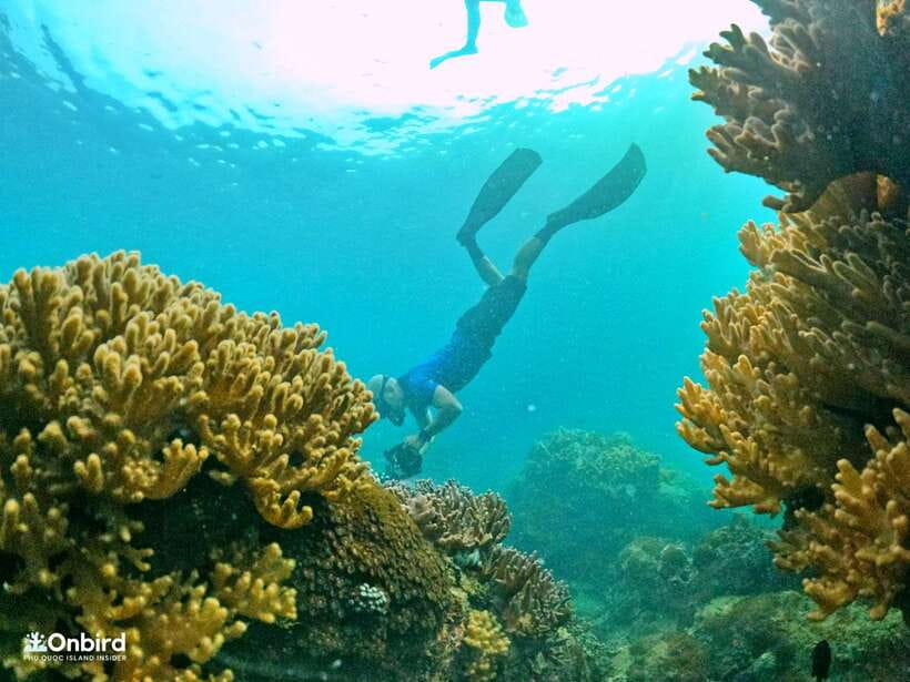 South Phu Quoc: Pro Snorkeling Tour by Speedboat - Why this South Phu Quoc tour feels different