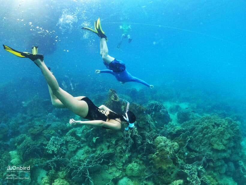 South Phu Quoc: Pro Snorkeling Tour by Speedboat - Shallow-water practice before the reef