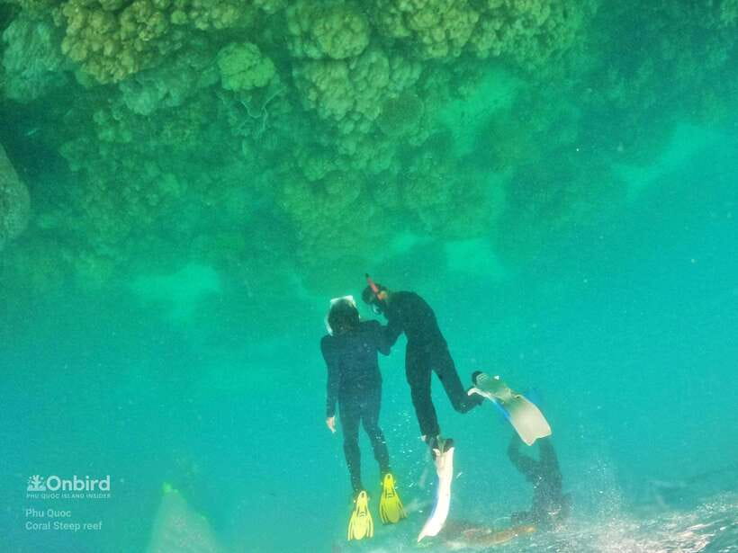 South Phu Quoc: Pro Snorkeling Tour by Speedboat - The two main coral stops