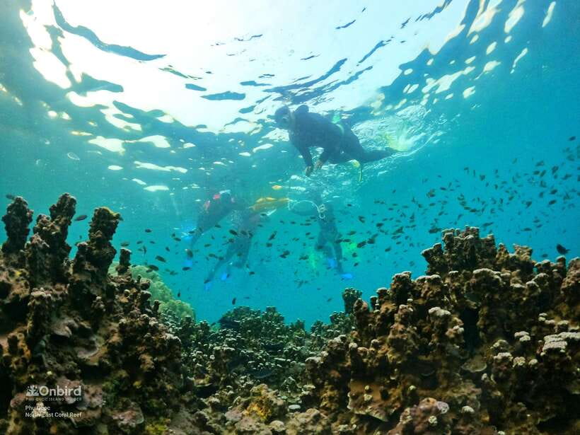 South Phu Quoc: Pro Snorkeling Tour by Speedboat - Who should book this outing?