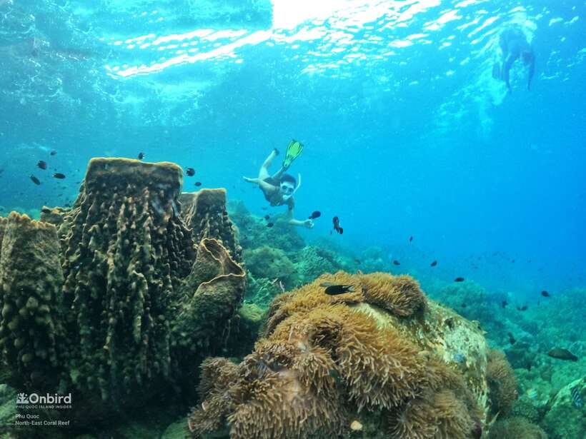 South Phu Quoc: Pro Snorkeling Tour by Speedboat - The six-hour route, from pickup to the water
