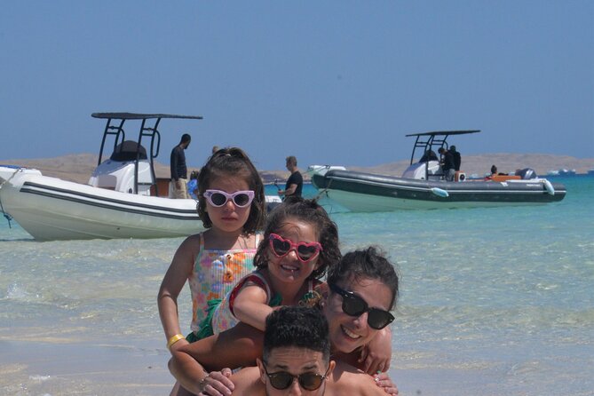 Speed Boat 4 Hours Swim Dolphin, Orange Island ,Snorkeling - What to expect about dolphins