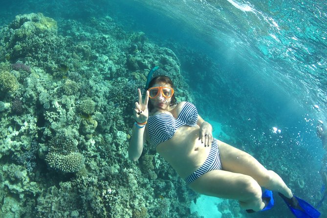 Speed Boat Abo Munkar Island & Water Sport Semi Private-Hurghada - Why This Abo Munkar Island Trip Works