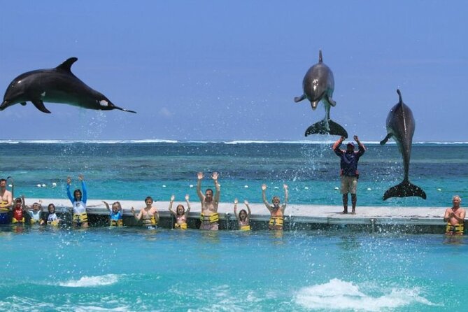 Speed Boat Adventure In Punta Cana - What the Punta Cana speedboat trip is really like