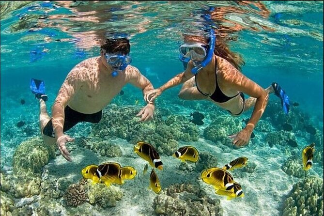 Speed Boat and Snorkel Adventure from Punta Cana - What to expect at the natural pool