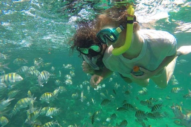 Speed Boat and Snorkeling in Punta Cana Bavaro - Driving the speedboat is the real thrill