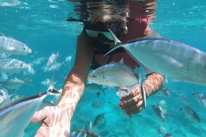 Speed Boat and Snorkeling in Punta Cana Bavaro - What $70 buys you