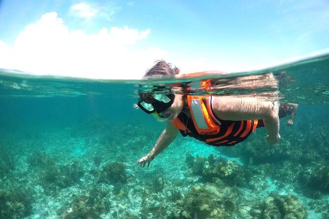 Speed boat aventure and snorkel - Booking, Cancellation, and Reliability Concerns